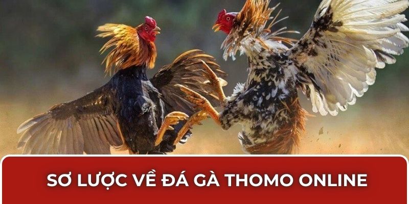 Đá gà Thomo online
