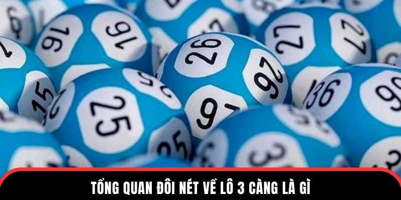 Lô 3 càng ăn bao nhiêu - tổng quan về lô 3 càng