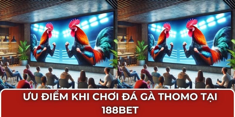 Ưu điểm đá gà thomo tại 188bet